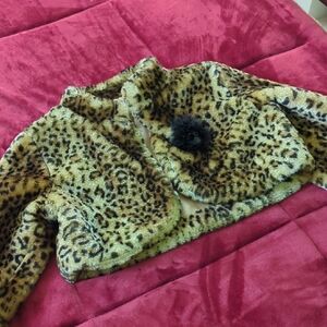 Brown and Black Teddy Jacket with Plush Texture